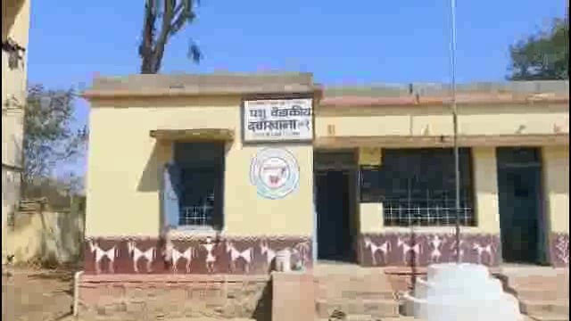 वलांडी कवठाळा रोडवर अज्ञात वाहनांच्या धडकेत हरीण जखमी