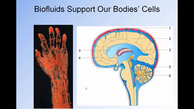 ALSA/NEALS PALS Webinar: Biomarkers in ALS Screen Grab