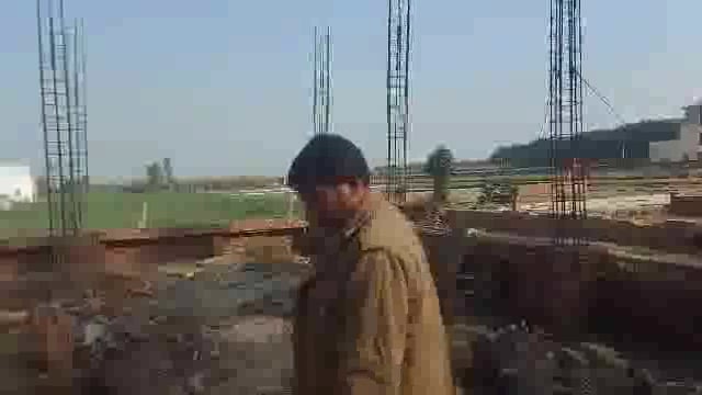 सड़क किनारे खड़े शीशम के पेड़ को काटते हुए वन विभाग ने चोरों को पकड़ा 