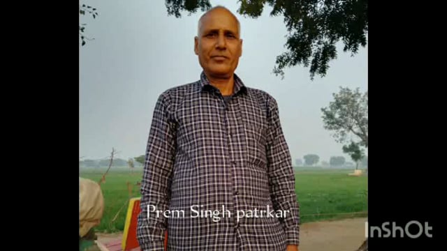 सोख मगोर्रा क्षेत्र बरसात और ओलावृष्टि की वजह से गेहूं की खड़ी फसल का हुआ बिछौना