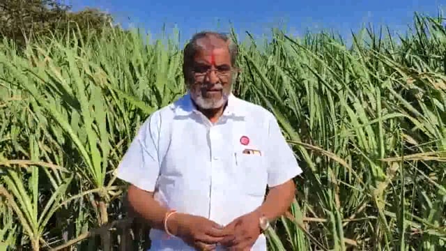 केंद्र सरकारने साखरेवरील निर्यात बंदी उठवावी राजू शेट्टी