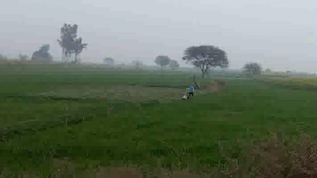 जलालाबाद क्षेत्र के किसानों पर फसल की रखवाली करते समय सांडो के हमले से दो किसान घायल