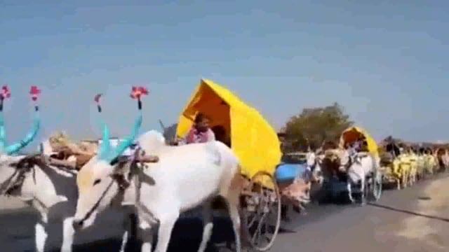 चल भिर्रर्रर्रर करत बैलगाडी मधून भाविक कर्नाटक मधील यात्रेला