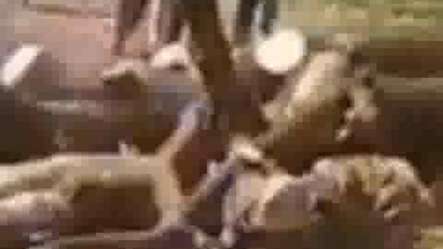 उमरी बेगमगंज थाना क्षेत्र में रात के अंधेरे में नहीं दिन के उजाले में हर आम के पेड़ों की हो रही धड़ल्ले से कटान 