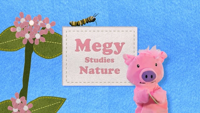 Megy Studies Nature