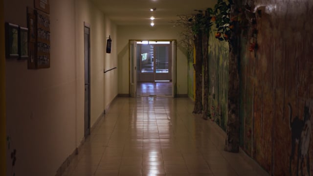 Trailer | The Falcons