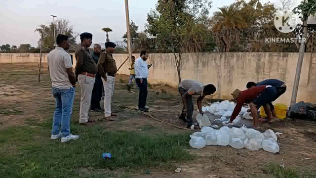 परना डाबर थाना परिसर में 578 लीटर महुआ शराब किया गया विनिष्ट