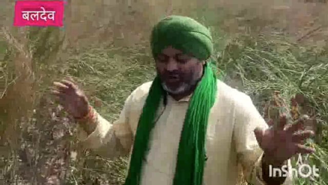 बलदेव  इस वर्ष सरसों की खेती नहीं हुई संतोष जनक किसान नेता गजेंद्र सिंह परिहार ने बताया प्रशासन किसानों की ओर से ध्यान