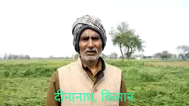 तेज हवा के साथ हुई बरसात से किसान हुआ तबाह: फसल की बर्बादी लेकर बरसे मेघा 