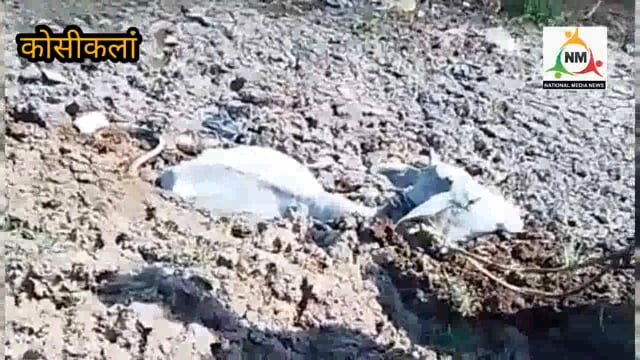 कोसीकलां: गहरे गड्ढे में गिरी बेसाहरा गाय, पुलिस ने स्थानीय लोगों की मदद से कड़ी मशक्कत के बाद सकुशल निलवाया बाहर। 