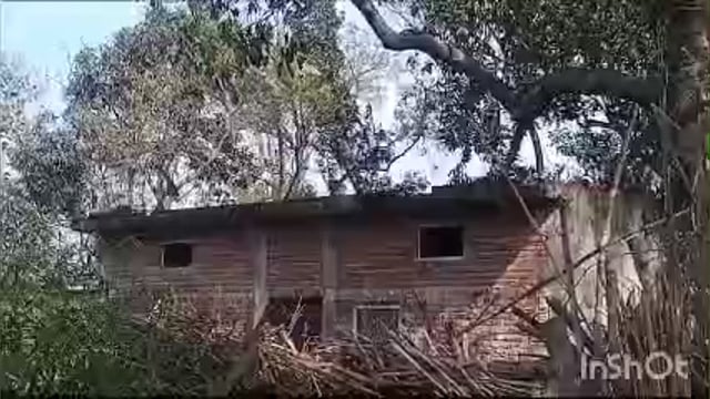 तालाबों पर अवैध कब्जों की भरमार शिकायत होने पर भी नहीं हो रही कार्रवाई योगी के आदेशों की उड़ रही है धज्जियां