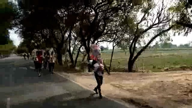 गंगाजल लेकर लौटने लगे कांवरिया: जगह-जगह लगे भंडारे