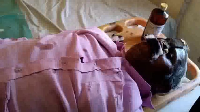 ऑटो पलटने से सवारी घायल, ऑटो चालक फरार 