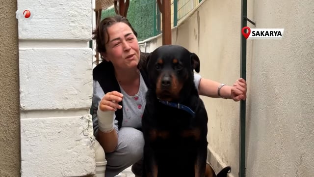 Beslediği Köpeğin Aynı Cinsi Tarafından Sokakta Saldırıya Uğradı