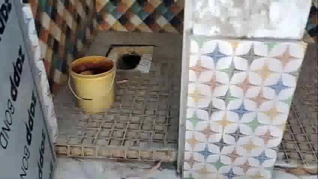 अम्बेडकर नगर के विकास खंड अकबरपुर हरखपुर कौड़हा में सामुदायिक शौचालय की स्थिति बहुत ही दयनीय है।5 साल पहले का बना हुआ इसमें अंदर से पानी की व्यवस्था नहीं है बाहर से चमचमा रहा है पानी की व्यवस्था के अभाव में दिन प्रतिदिन उपयोगहीन हो रहा है।