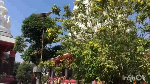 जिले के सुप्रसिद्ध अशोक धाम मंदिर परिसर में शिवरात्रि त्योहार को लेकर श्रद्धालु कर रहे  जलाभिषेक।