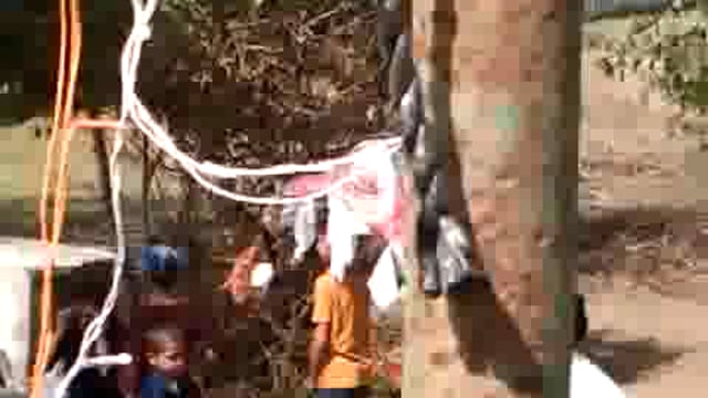 महाशिवरात्रि के मौके पर कराहरी गांव में स्थित बनखंडी महादेव पर धूमधाम से जलाभिषेक किया गया