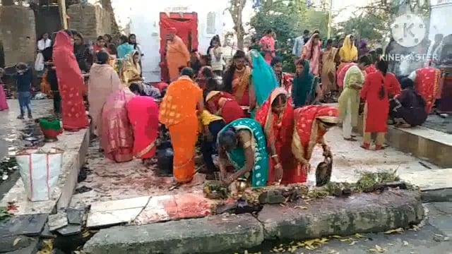 महाशिवरात्रि पर्व पर शिवालयों में उमड़ी श्रद्धालुओं की भीड़ की गई पूजा अर्चना