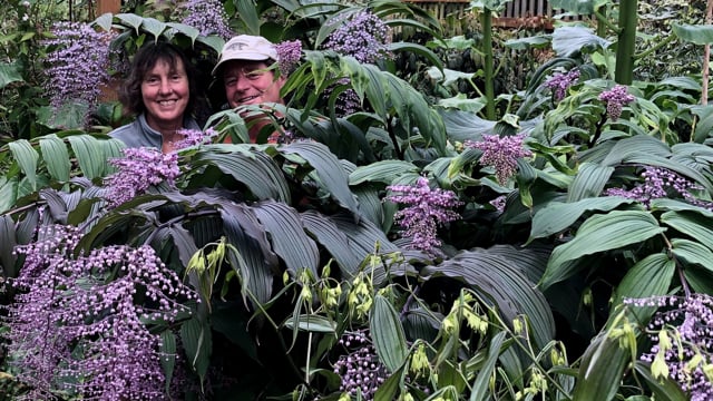 Kelly and Sue – Unusual to Downright Rare Woodlanders