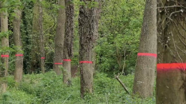 Claire Greenslade and Tim Martin – The garden – the greatest art form?