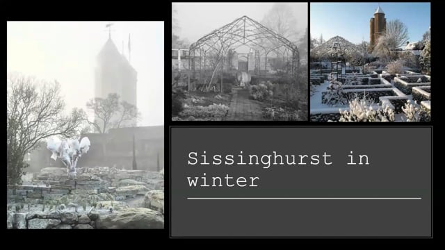 Troy Scott-Smith – Winter