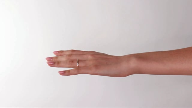 Billie Baguette Band - Video