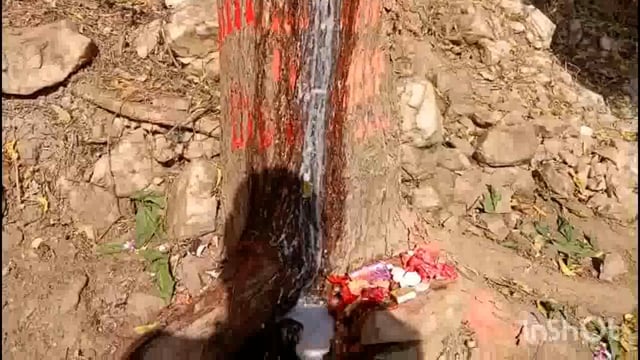 ग्रामीणों के अनुसार कलयुग में देवी मां का अवतार, नीम के पेड़ से निकला दूध का धार