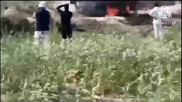 बारात रानीपुर से म्हारे मंदिर जा रहे थे नहर के रास्ते जा रहे बस ऊपर से तार टूट कर 11000 की वोल्टेज से लगी आग