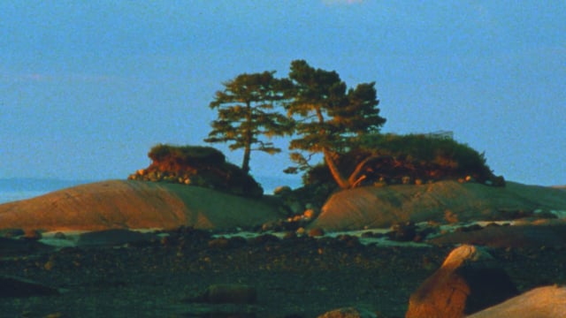 Two Trees (16mm, trailer)