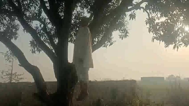 गोल्हौरा थाना क्षेत्र के सेहरी प्लांट के पास संदिग्ध परिस्थितियों में आम के पेड़ से फंदे से लटकता मिला 70 वर्षीय बुजुर्ग