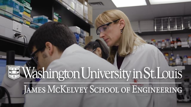 School of Engineering