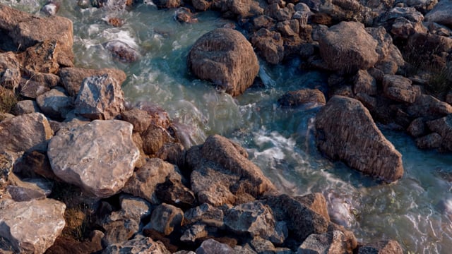 Fall 23 Quarter — Fowler