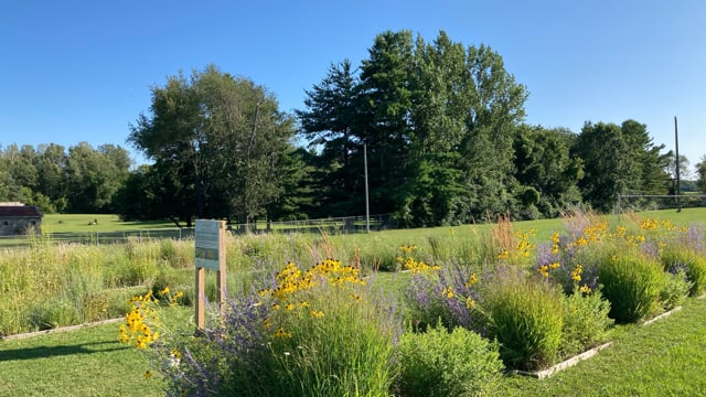 Ben O’Brien – Growing (in) Grit