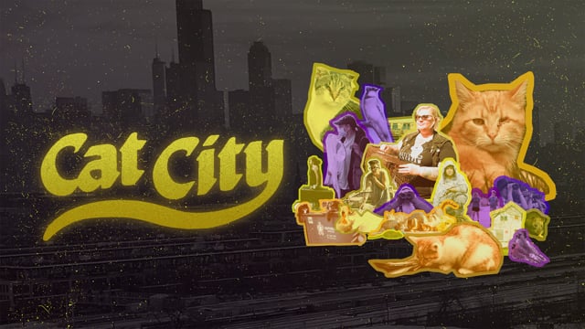 Cat City - Official Trailer