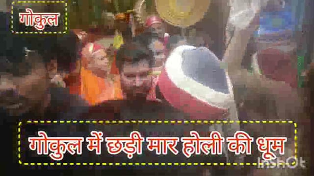 गोकुल में छड़ीमार होली की धूम पुलिस प्रशासन व नगर पंचायत की रही व्यवस्था कस्बे में निकले डोले में श्रद्धालु होली झूमे 