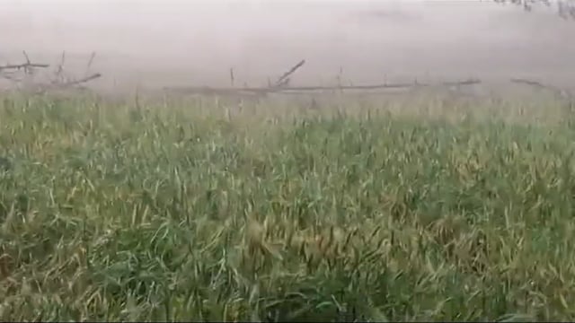  प्रतापगढ़ जिले के बाघराय थाना क्षेत्र के तिवारी महमदपुर गांव 6 धारा में 14 लोग पर जमीनी विवाद में दर्ज हुआ मुकदमा,