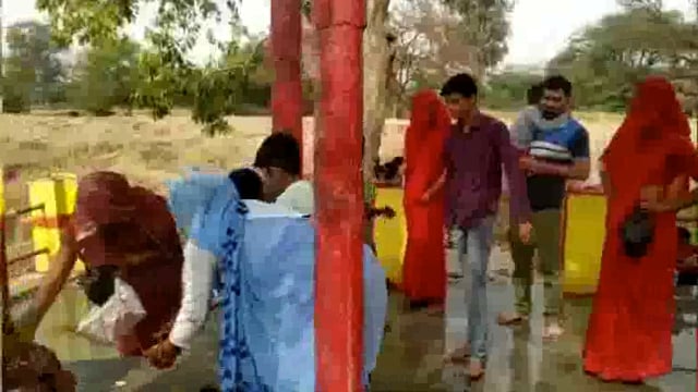 शेरगढ़ में  पलाखेड़ा वाली माता रानी की होली की उपलक्ष में भक्त जनों की पूजा अर्चना