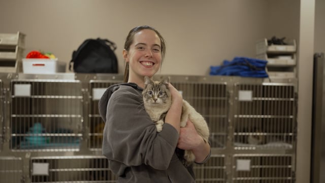 Sirius Veterinary Care — Brand Story | Filmhaus