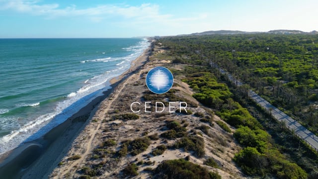 Ceder Real Estate — Growth Sprint
