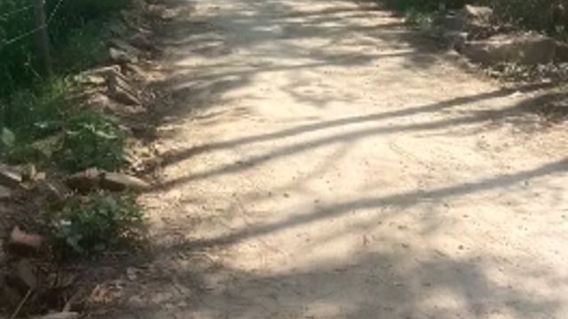 बिहार ब्लॉक के कर्माजीत पट्टी के शिवगढ़ गांव में जिला पंचायत से स्वीकृत हुई सीसी सड़क नहीं बनी ठेकेदार हुआ नदारत,