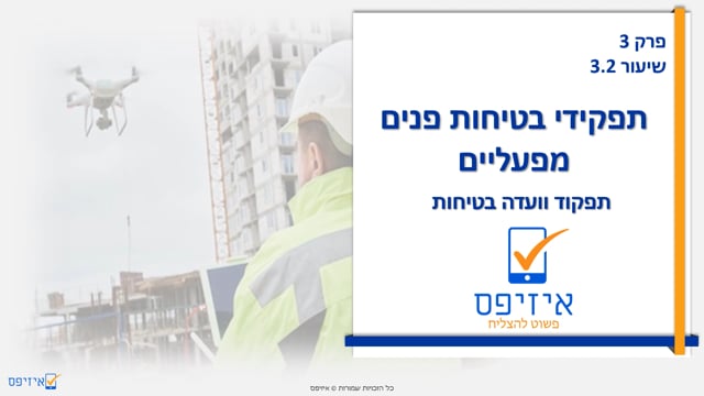 תפקידי בטיחות פנים מפעליים | תפקוד וועדת בטיחות