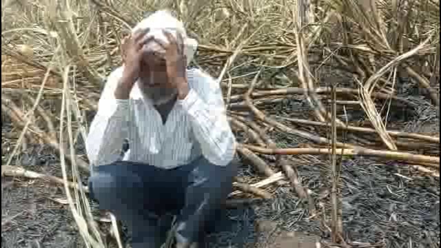 नागलगाव येथे शेतकऱ्यांचा 8 एकर ऊस जळून खाक,शॉर्टसर्किट मुळे लागली आग,शेतकऱ्यांचे मोठे नुकसान