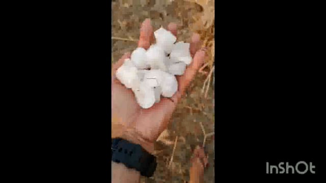 आगरा बिन मौसम बरसात के चलते गिरे ओले