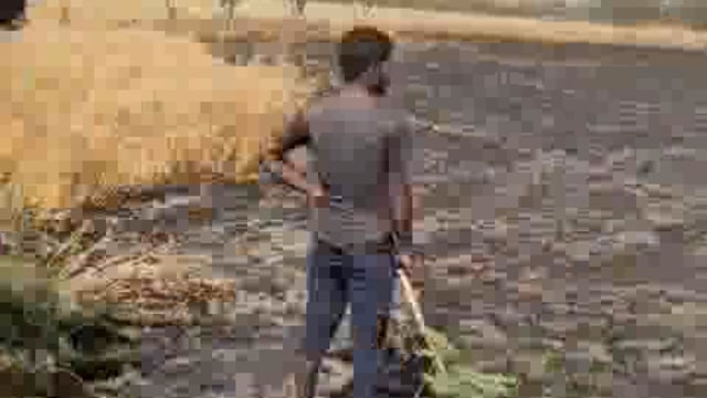 शॉर्ट सर्किट से लगी आग, बीस बीघा गेहूं की फ़सल जलकर खाक 