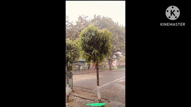 राजस्थान से नमी लेकर चली हवा से आगरा का मौसम बदला धूप से लोगों को मिली राहत मौसम में बदलाव