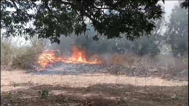 तीन किसानों के बगीचे में लगी भयंकर आग से किसानों को भारी नुकसान