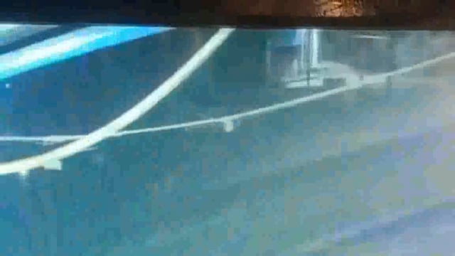 Chandan Bajar Mein Ek mobile dukaan se agyat Chor Ne Udaya 50 mobile sahit Nagad rupaye