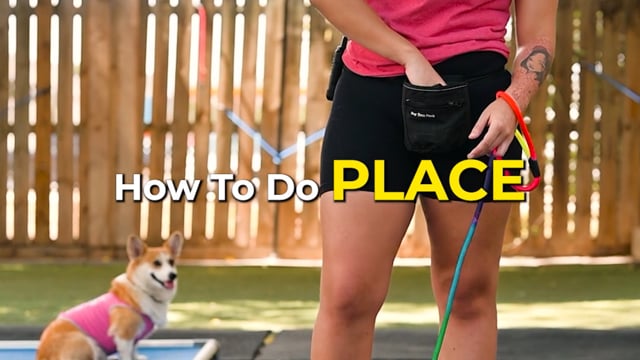 How to Place