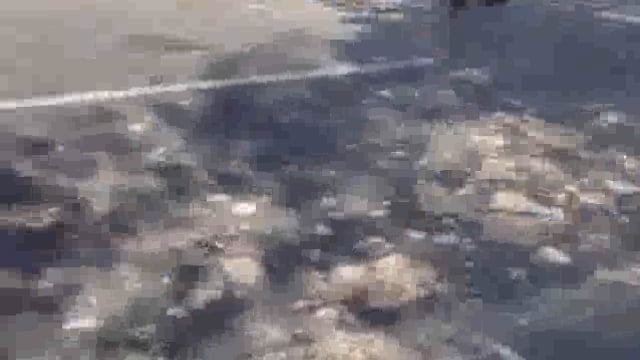 जलालाबाद से घर आते समय अज्ञात वाहन की टक्कर से ही बरेली के छात्र की मौत घर में पसरा मातम नेशनल हाईवे 730 की घटना