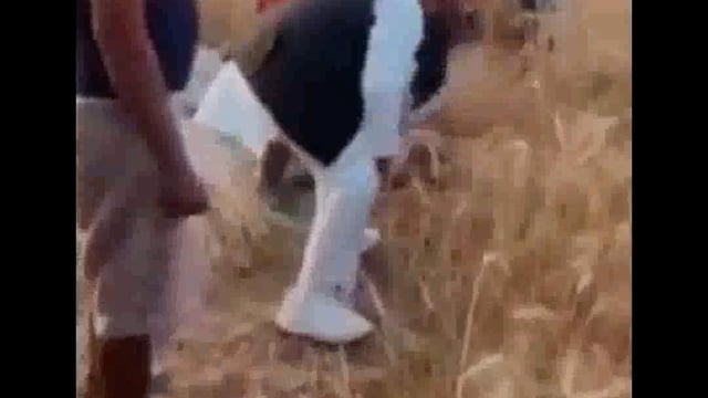 Bahraich: इलेक्शन आते ही नेताजी दिखने लगे खेतों में 5 साल नहीं छोड़ते कुर्सी अब काट रहे गेहूं